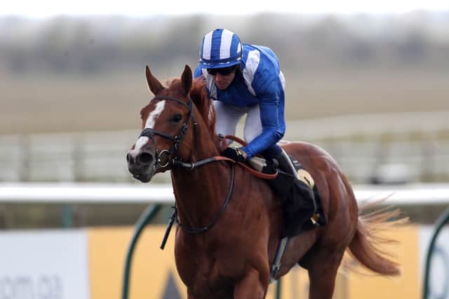 Mohaafeth could line up in the Sky Bet York Stakes this weekend.