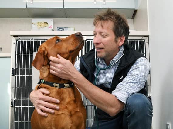 The Yorkshire Vet returns for its series finale tonight at 8pm on Channel 5. (Pic credit: Jonathan Gawthorpe)