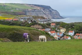 View of Staithes from the Cleveland Way on the North Yorkshire coast