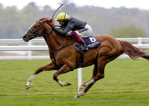 Stradivarius and Frankie Dettori are the headline act in next week's Goodwood Cup.