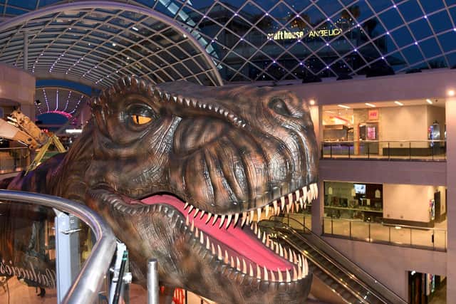 A total of 13 full size dinosaurs will be on display at locations across the city as part of the Leeds Jurassic Trail which takes place between July 24 and September.