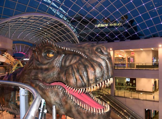 A total of 13 full size dinosaurs will be on display at locations across the city as part of the Leeds Jurassic Trail which takes place between July 24 and September.