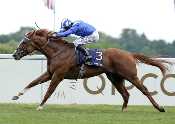 Five star: Mohaafeth bids for a fifth successive victory this season when he runs in the Sky Bet York Stakes today. (Photo by Alan Crowhurst/Getty Images)