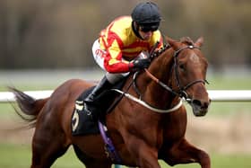 Sir Ron Priestley represents Mark Johnston in the Goodwood Cup.