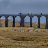 The Tinniswoods were walking at Ribblehead Viaduct when they were