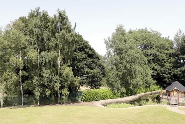 Healthy, mature trees are to be felled as part of a massive warehouse development, businessman Dar Shivtiel has warned (Image: Andy Catchpool)