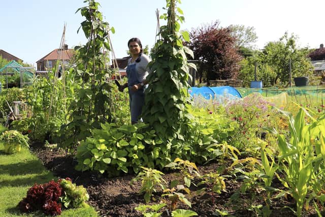Rekha Mistry on her allotment. Picture: Rekha Mistry/PA.