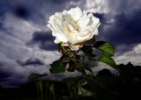 What is the future of regional devolution ahead of Yorkshire Day this weekend?