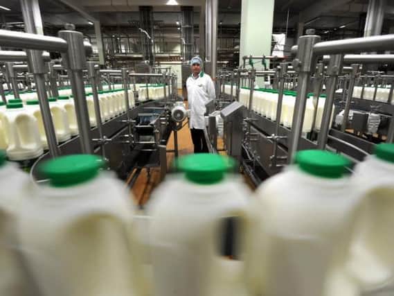 Arla supplies milk to about 2,400 stores each day in the UK, but was unable to deliver to 600 stores last Saturday due to dwindling driver numbers.