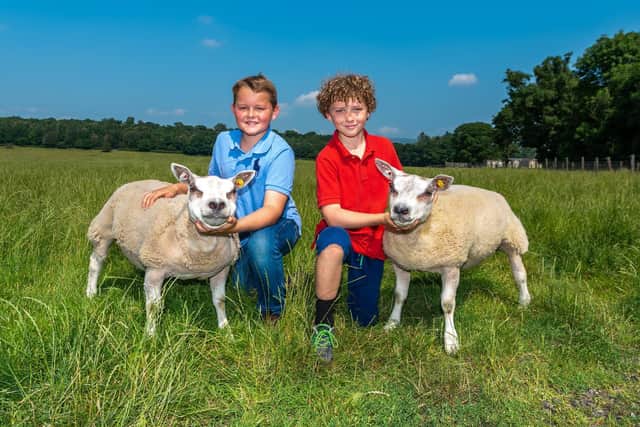 Henry, 11, and Robert, nine, now enter young handler classes at the Great Yorkshire Show