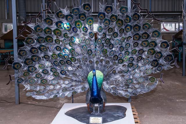 The peacock was sold to a couple from Shropshire. Picture: Ernesto Rogata