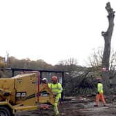 The Sheffield tree felling scandal continues to prompt much debate and discussion.