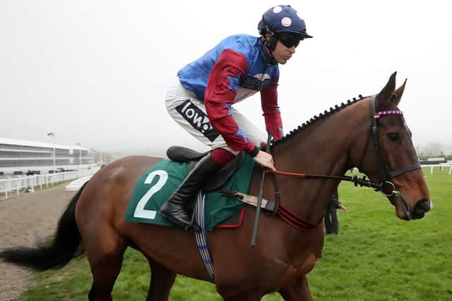 Andrew Gemmell's horses include former Stayers' Hurdle hero Paisley Park.