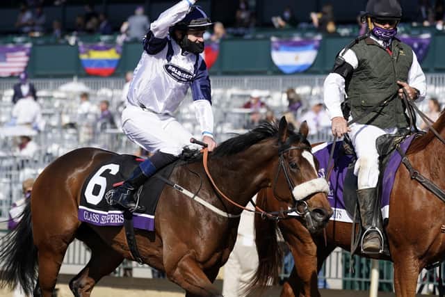 This was the Kevin Ryan-trained Glass Slippers winning the Breeders' Cup Turf Sprint last November in Kentucky under Tom Eaves.