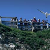 Visitors at RSPB Bempton Cliffs