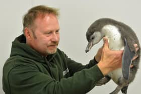 John Pickering and unnamed penguin chick