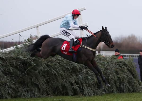 Hogan's Height and Tom Cannon clear the last in the 2019 Grand Sefton Chase at Aintree.
