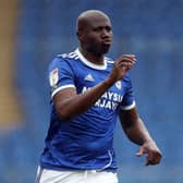 Sol Bamba: Will have a voice at Middlesbrough after recovering from non-Hodgkin lymphoma.