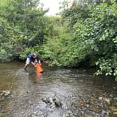The project, funded by Yorkshire Water aims to boost the numbers of freshwater pearl mussels which help improve water quality.