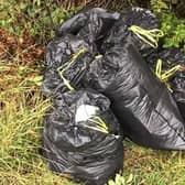 A Leeds couple were fined after dumping rubbish near Withernsea