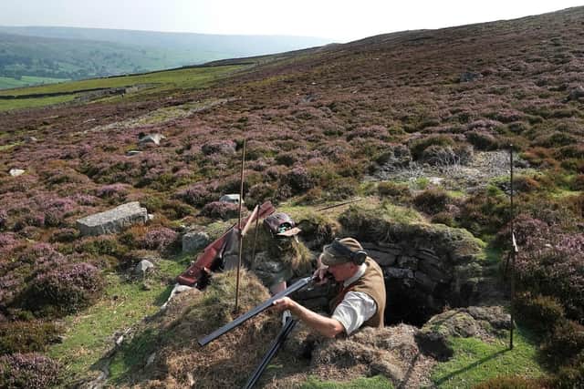 Grouse shooting takes place at Grinton Moor, North Yorkshire