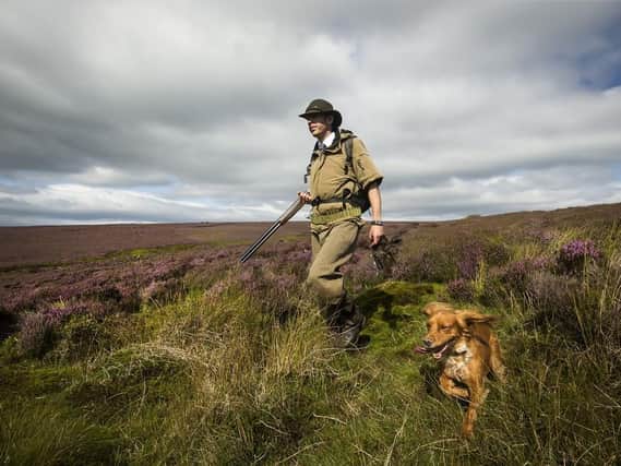 Grouse shooter on Glorious Twelfth day. (Pic credit: Danny Lawson / PA)