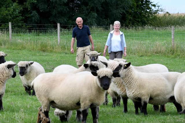 Bob and Jean Richardson with their Oxford Down sheep