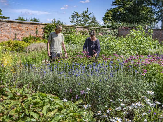 Shaun Passman and Jenny Gaunt at the Dark Star Plants nursery in the walled garden at East Rounton. (Tony Johnson).