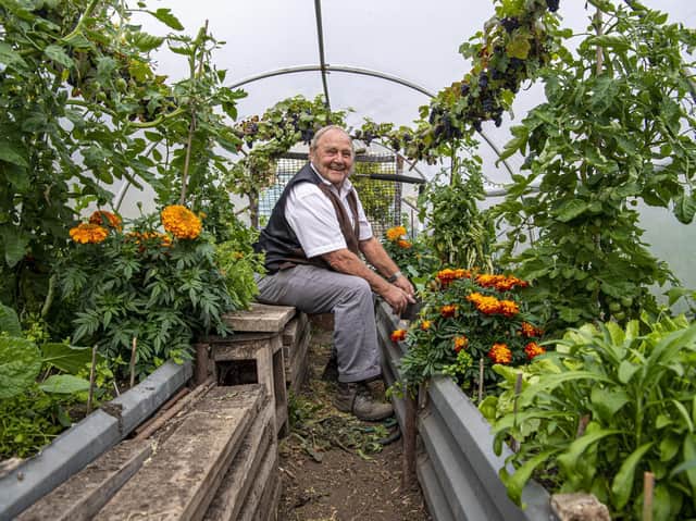 Phil Gomersall working on his plot at Victory Garden Allotments, in Rawdon, Leeds