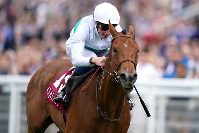 French sprinter Suesa, pictured winning at Goodwood under William Buick, heads a strong international challenge in next week's Nunthorpe Stakes.
