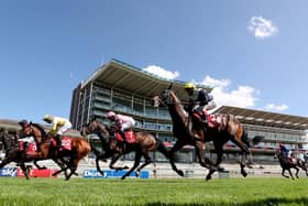 Fans will be returning to York Racecourse this week for the Ebor Festival