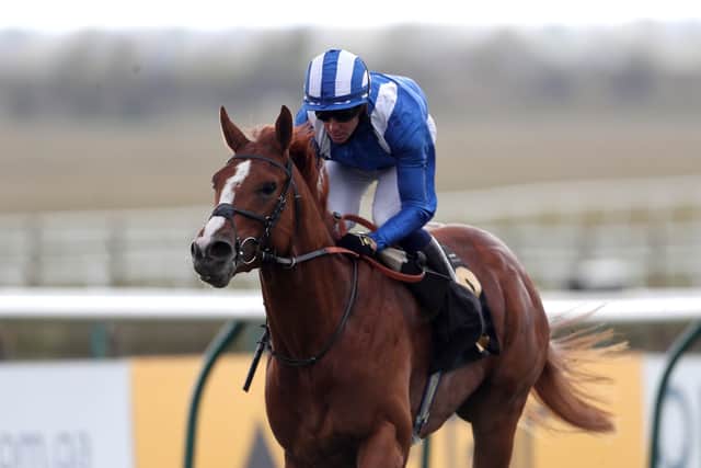 Mohaafeth will also represent William Haggas in the Juddmonte International.