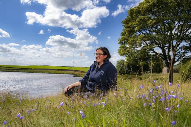 Catherine Mercer, Bee Together officer for Yorkshire Dales Millennium Trust (YDMT) with harebells growing by Embsay Reservoir near Skipton.