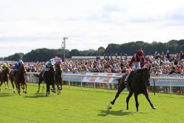 Mishriff and David Egan wins the Juddmonte International Stakes during Juddmonte International (Picture: PA)