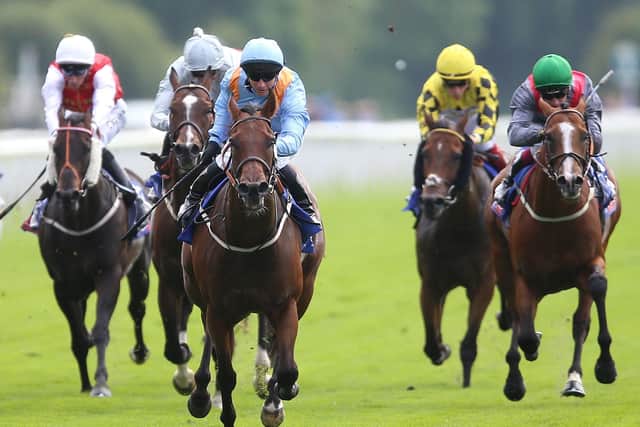 Copper Knight is now a six-time York winner after landing the Ebor Festival's opening contest.
