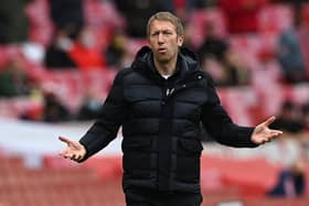 Risen through the ranks: Brighton and Hove Albion manager Graham Potter.