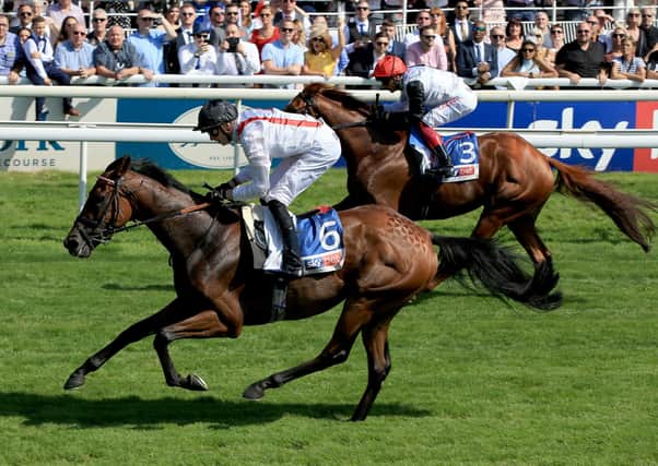 Hamish - pictured winning the 2019 Melrose Stakes - is the Ebor favourite if it rains in time for the big race.