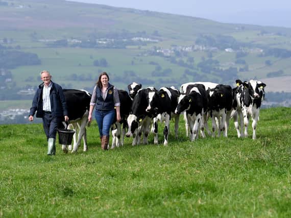 Jennie Booth with her father David and their Holsteins