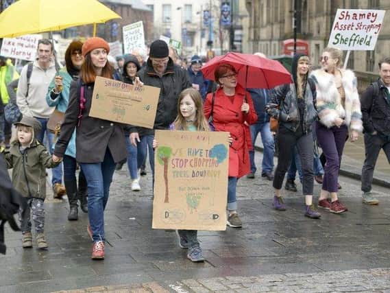 Sheffield's mass tree-felling programme sparked years of protests. Picture: Dean Atkins