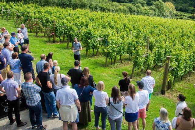 Camel Valley in Cornwall organise regular tours and tastings.