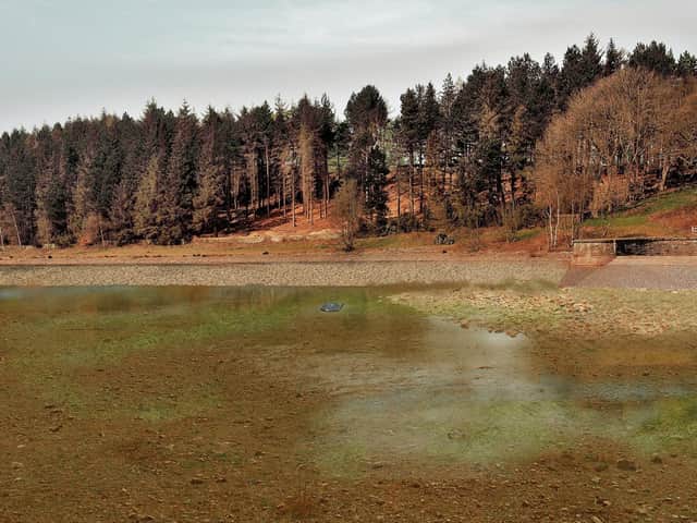 An artist's impression of Langsett reservoir in 2071