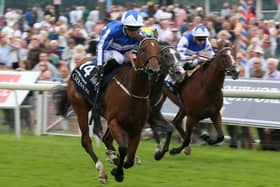 This was Tim Easterby's Winter Power storming to victory in last week's Coolmore Wootton Bassett Nunthorpe Stakes at York under Silvestre de Sousa.