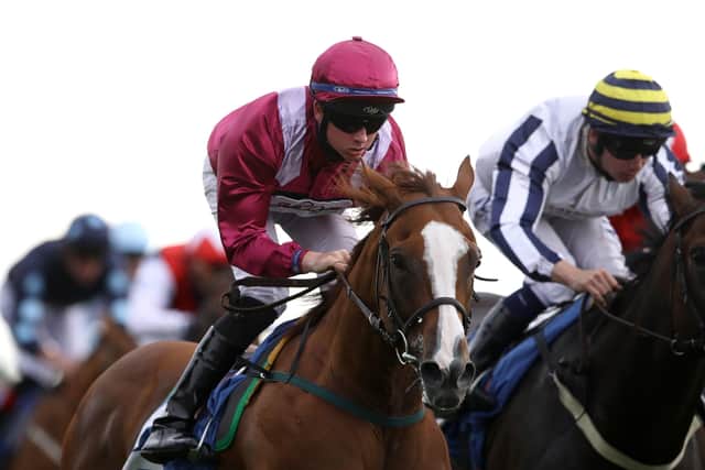 IN CONTENTION: Tis Marvellous is among the other leading contenders to claim victory in the Beverley Bullet. Picture: PA Wire.