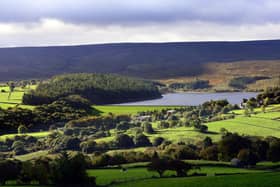 Trees are beginning to change colour and leaves are starting to fall as autumn takes a hold on South Yorkshire.Looking over Langsett Reservoir. Picture: Scott Merrylees.