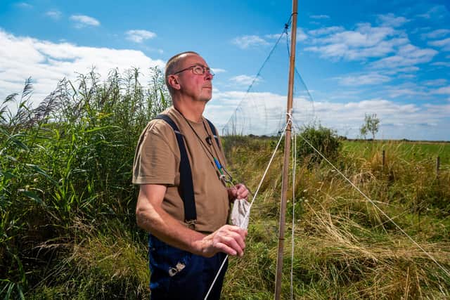 Spurn Migration Festival - MigFest 2021, will take place on the 10th, 11th and 12th September at Spurn Bird Observatory, Kilnsea Road, Kilnsea, Hull. Pictured Ken Pearson, of Doncaster, a volunteer licensed brid-ringer near mist nests, where he has been catching and ringing Yellow Wagtails. .
Picture James Hardisty