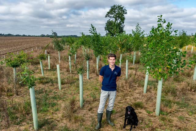 Daniel has restored woodland on the farm, which used to have only five trees