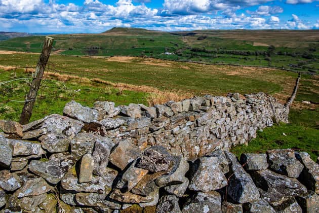 A view across towards Addlebrough, a fell in Wensleydale in North Yorkshire. The Local Government Minister Simon Hall has confirmed the Government's preferred option is for a metro major to be elected to oversee a new unitary authority in North Yorkshire. (Photo: James Hardisty)