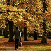Where to go in Yorkshire for an autumn walk? (Pic credit: Chris Radburn / PA Wire)