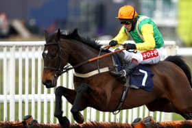 This was Richard Johnson winning on Sue and Harvey Smith's Small Present at Doncaster in March.