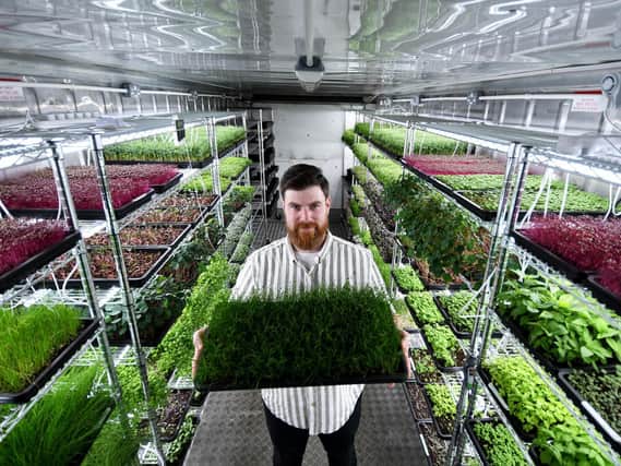 Ben has used digital technology to attain optimum growing conditions in his shipping container
